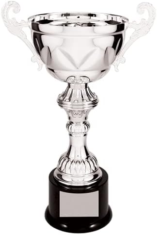 Decade Ödülleri Metal Kupa Kupası-Altın veya Gümüş-Kurumsal Aşk Kupası Ödülü-İstek Üzerine Kazınmış Plaka