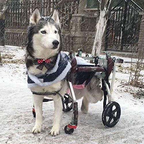 Köpek Tekerlekli Sandalye Ayarlanabilir Köpek Tekerlekli Sandalye 4 Tekerlekli Köpek Arabası Arka Bacak Rehabilitasyon Evcil