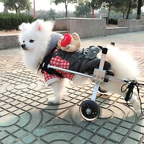 Cora Pet Köpek Tekerlekli Sandalye Ayarlanabilir 2 Tekerlekli Alüminyum Alaşımlı Tekerlekli Sandalye Arka Bacak Rehabilitasyon