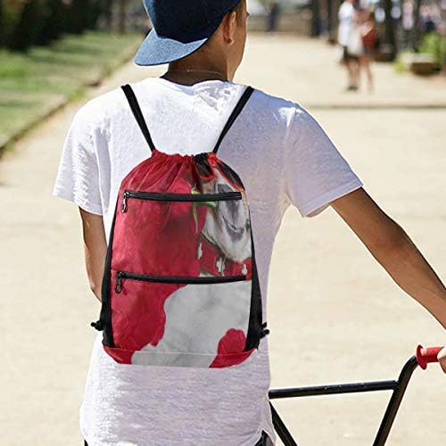 Spor spor çantası Köpek Yatakta Yatan Kırmızı Çiçek Dolu İpli Çanta Erkek Kadın Sırt Çantası Hafif Fermuarlı cebi İle Spor Atletik