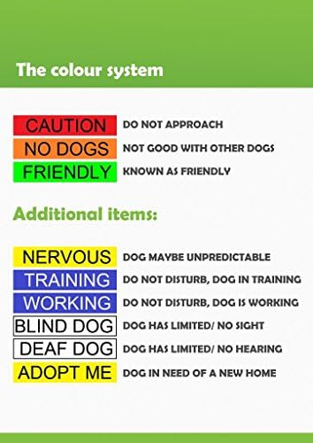 Dexil Limited DO NOT PET Kırmızı Renk Kodlu Çekmeyen Ön ve Arka D Halkası Yastıklı ve Su Geçirmez Yelek Köpek Koşum Takımı, Köpeğinizin