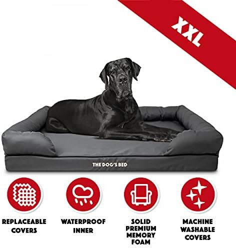 Köpek Yatağı Ortopedik Köpek Yatağı, Büyük Köpek Yatağı, Ekstra Büyük Köpek Yatağı, Katı Hafızalı Köpük, Üst Düzey Destek, Ameliyat