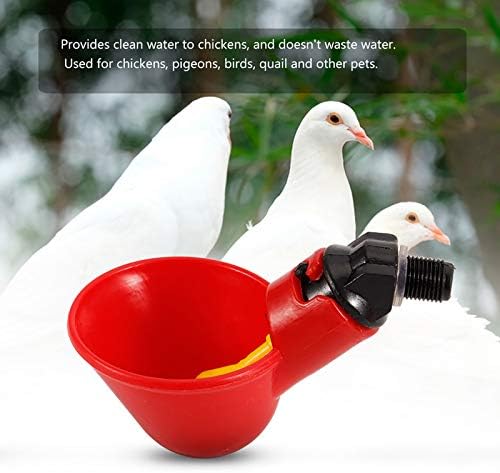 Jeanoko Kuş Tiryakisi, küçük Boy Kümes Hayvanları ıçme Bardağı 5 ADET Çevre Dostu Çıkarılabilir Tavuk Içme (Küçük kırmızı su