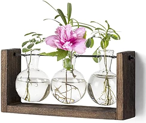 Kıngbuy Bitki Teraryum ile Ahşap Standı, cam Ekici Masaüstü Yayılma 3 Ampul Vazo Metal Tutucu Retro Raf için Hydropoincs Bitkiler