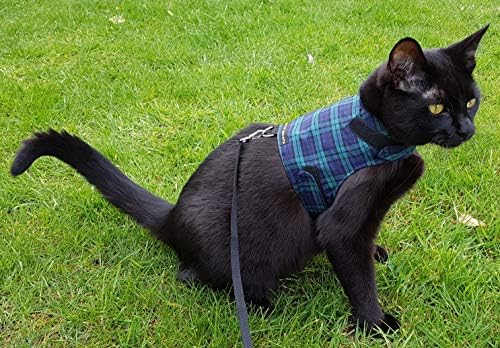 Mynwood Kedi Ceketi / Koşum Takımı Siyah Saat Tartan Yetişkin Kedi