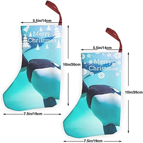 Dcehgew Katil Balina Baskılı Klasik Noel Çorap 2 Set,Aile Tatil Noel Partisi Süslemeleri için 10 İnç